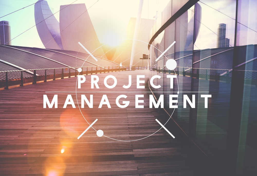 Project Management Strategy Process Planning Organization Concep